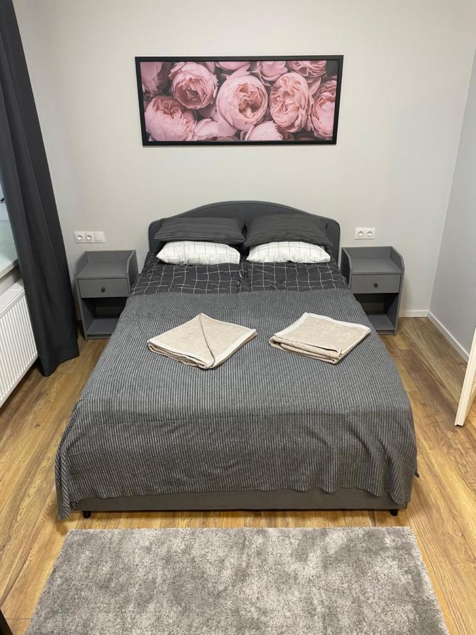 Vilnius Central Cozy Stay Bagian luar foto